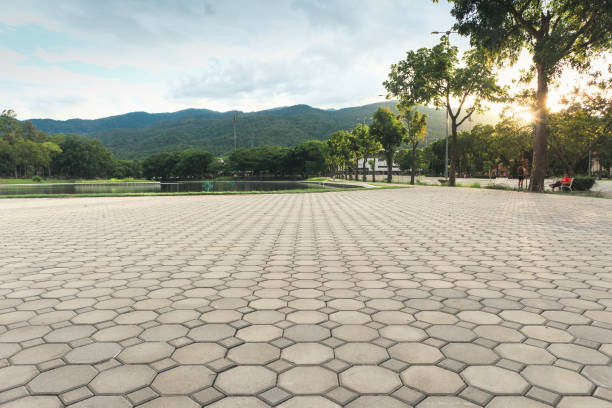 Best Decorative Driveway Pavers  in Olympia, SC