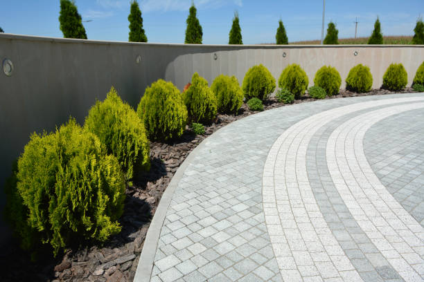 Best Concrete Paver Driveway  in Olympia, SC