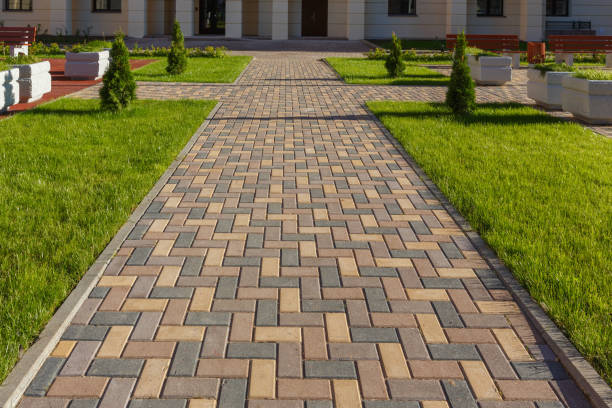 Best Best Driveway Pavers  in Olympia, SC